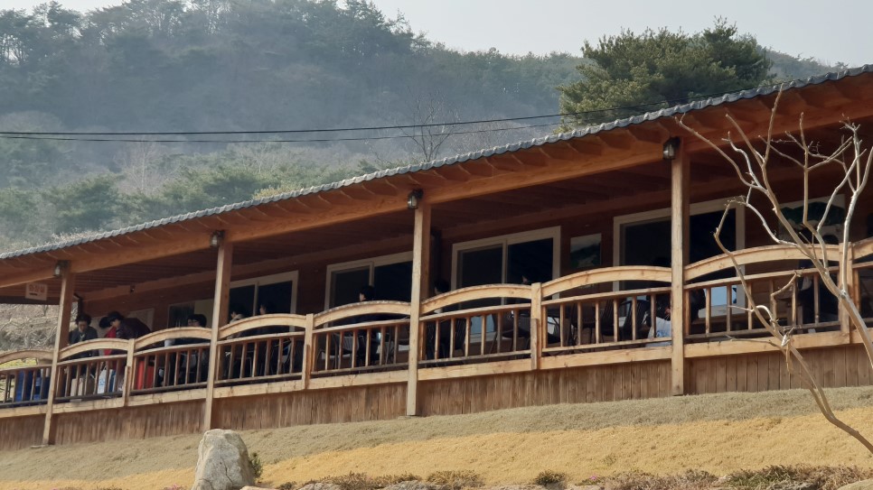 20190319_150911[1].jpg