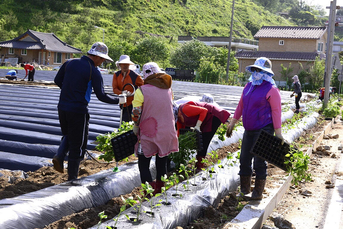 �ٹ̱�- �ѿ���000_DSC9865.JPG